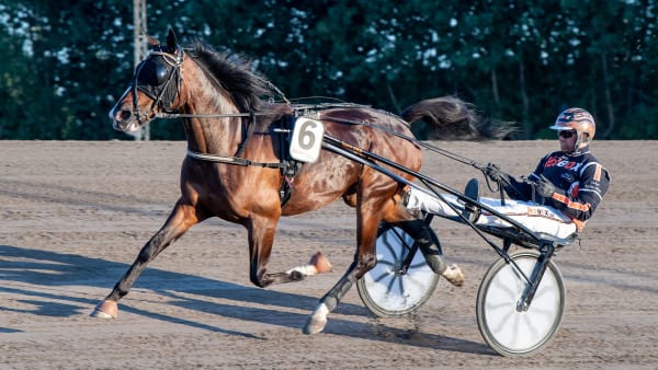 Foto: MIKAEL ROSENQUIST / TR BILD