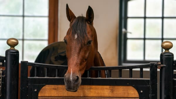 Foto: THOMAS BLOMQVIST / TR BILD