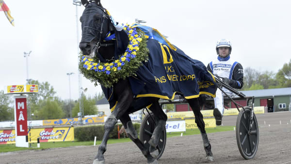 Foto: LARS JAKOBSSON / TR BILD