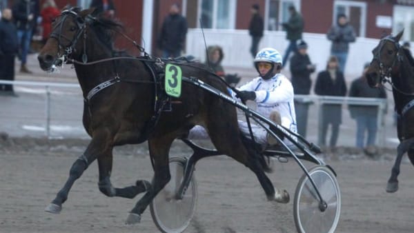 Foto: MICKE GUSTAFSSON/ALN