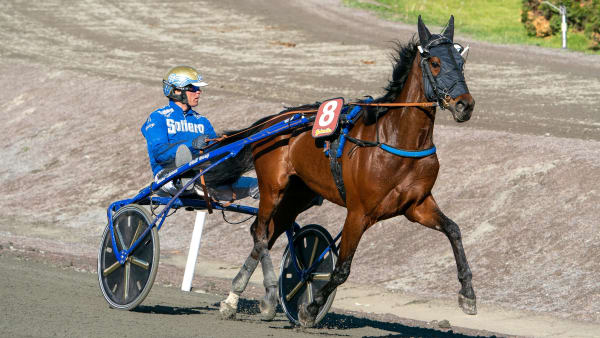 Foto: THOMAS BLOMQVIST / TR BILD