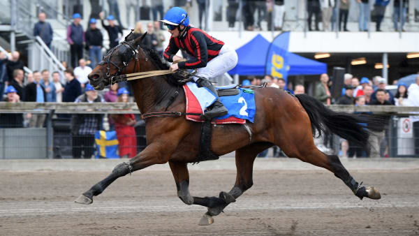 Foto: MALIN ALBINSSON / TR BILD