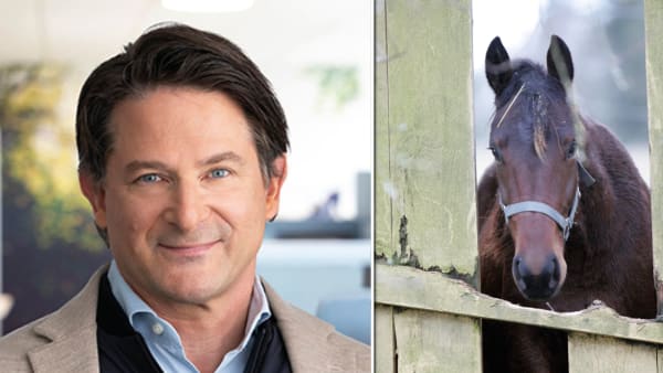 Foto: Olof Holdar/ATG/Pressbild/TR BILD