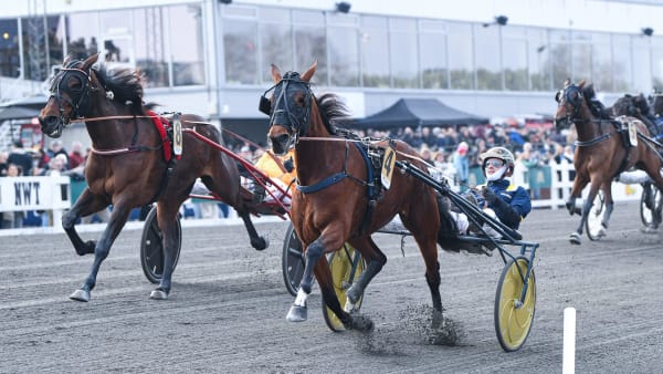 Foto: MALIN ALBINSSON / TR BILD