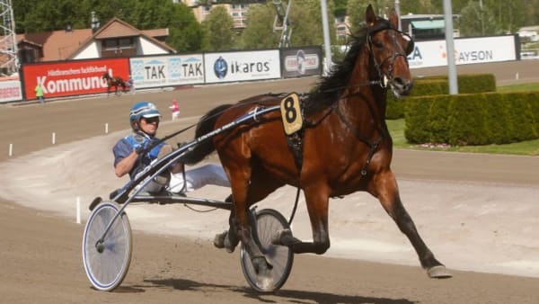 Foto: MICKE GUSTAFSSON/ALN