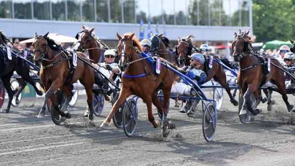 Foto: MALIN ALBINSSON / TR BILD