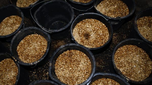 Foto: ANNA GERDMARKER/TR BILD