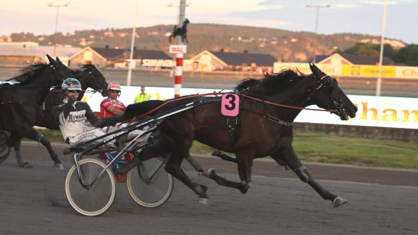 Foto: Trav365/Stein Larsen