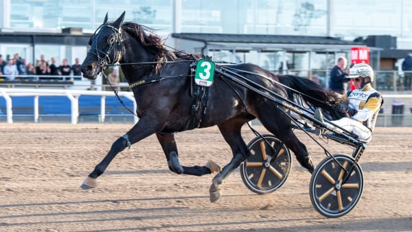 Foto: MIKAEL ROSENQUIST / TR BILD