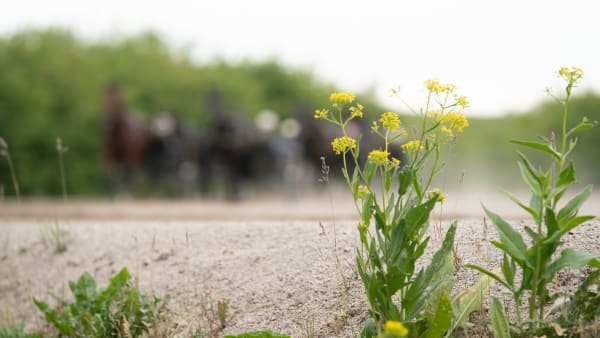 Foto: THOMAS BLOMQVIST/TR BILD