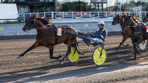 Foto: LENA EMMOTH / TR BILD