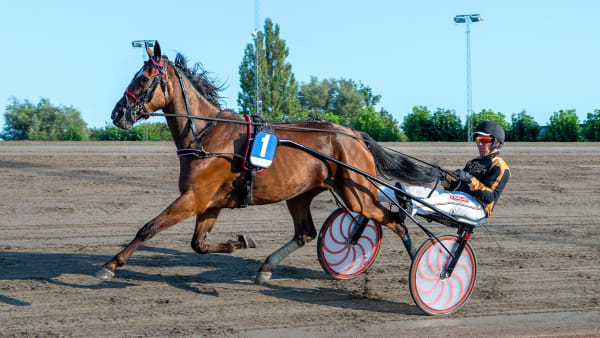 Foto: MIKAEL ROSENQUIST / TR BILD