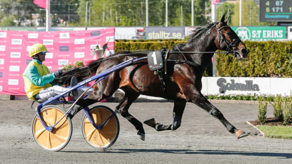 Foto: LENA EMMOTH / TR BILD