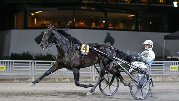 Foto: MARIA HOLMÉN/TR BILD