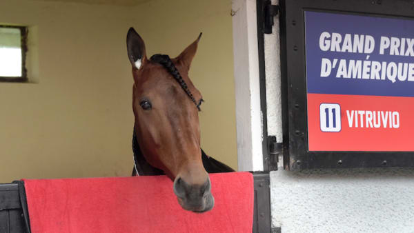 Foto: Lars Jakobsson/TR Bild