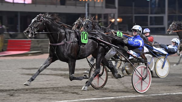 Foto: MALIN ALBINSSON / TR BILD