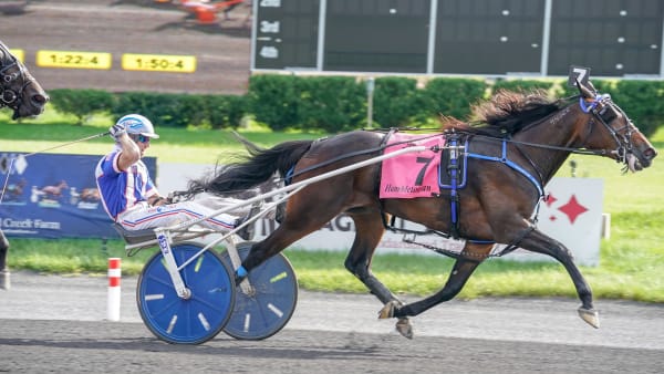 Foto: THOMAS BLOMQVIST / TR BILD