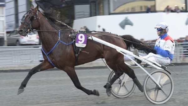 Foto: Lars Jakobsson/TR Bild