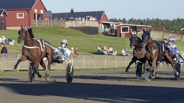 Foto: LARS JAKOBSSON / TR BILD