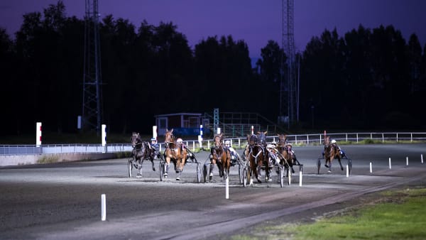 Foto: PETRA ÄLVSTRAND