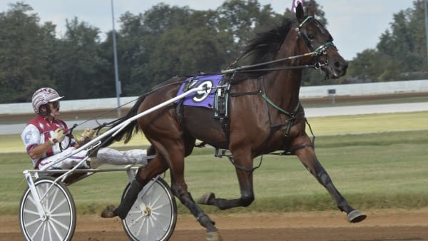 Foto: Stefan Melander/stalltz.se