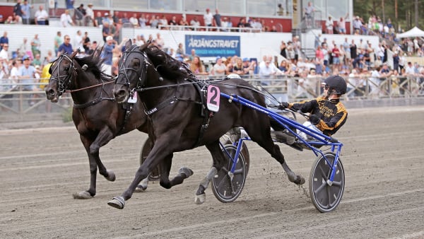 Foto: MATILDA ÖHRMAN / TR BILD