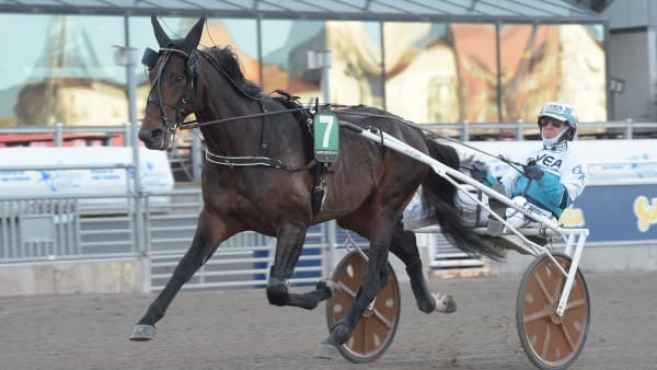 Foto: LARS JAKOBSSON / TR BILD