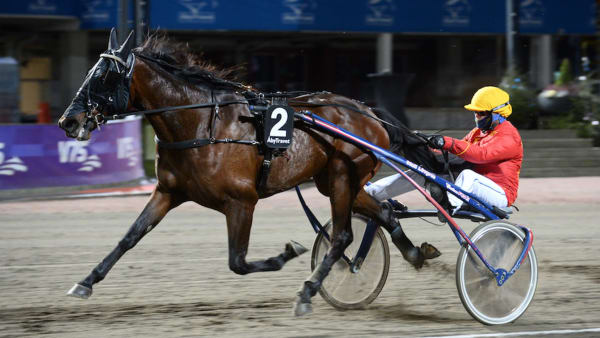 Foto: Malin Albinsson/TR Bild