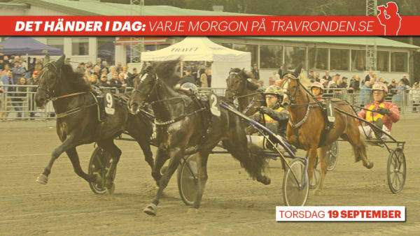 Foto: TOM JÖNEHAG/TR BILD