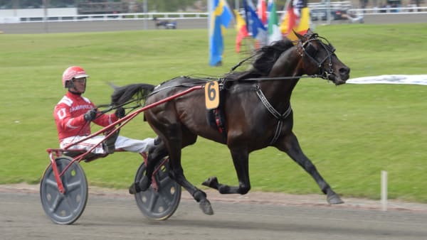 Foto: LARS JAKOBSSON/KANAL75