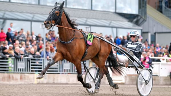 Foto: MARIA HOLMÉN, TRAVRONDEN