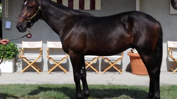 Foto: Stefan Melander/stalltz.se