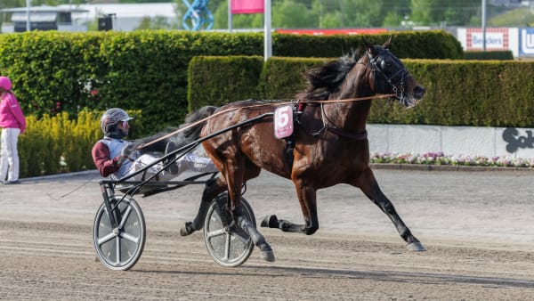 Foto: LENA EMMOTH / TR BILD