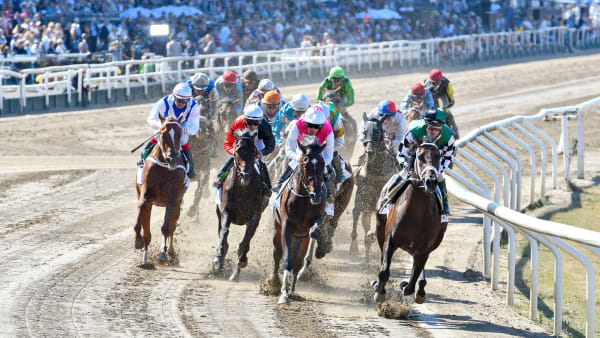 Foto: PRESSBILD Stefan Olsson/Svensk Galopp