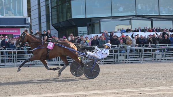 Foto: LARS JAKOBSSON / TR BILD