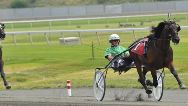 Foto: Simon Hagen/stalltz.se