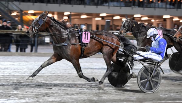 Foto: MALIN ALBINSSON / TR BILD