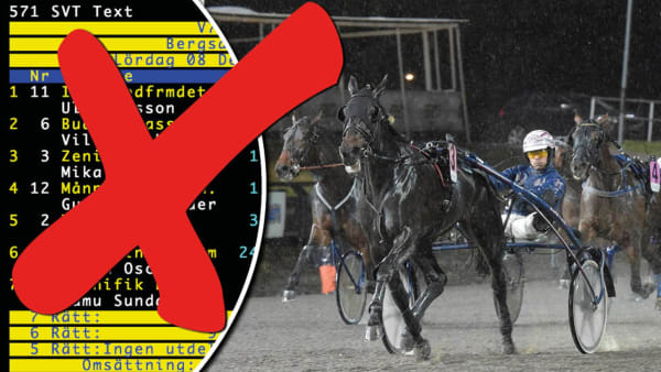 Foto: SVT/Lars Jakobsson/TR Bild