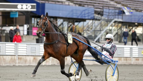 Foto: MARIA HOLMÉN/TR BILD