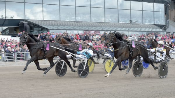 Foto: LARS JAKOBSSON / TR BILD