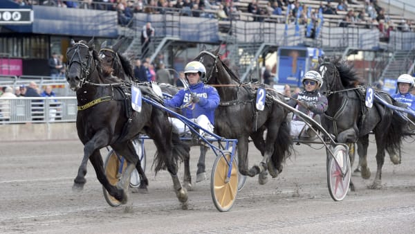 Foto: LARS JAKOBSSON / TR BILD