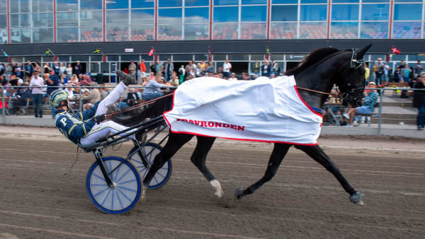 Foto: MIKAEL ROSENQUIST / TR BILD