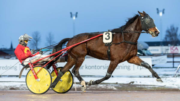 Foto: LENA EMMOTH / TR BILD