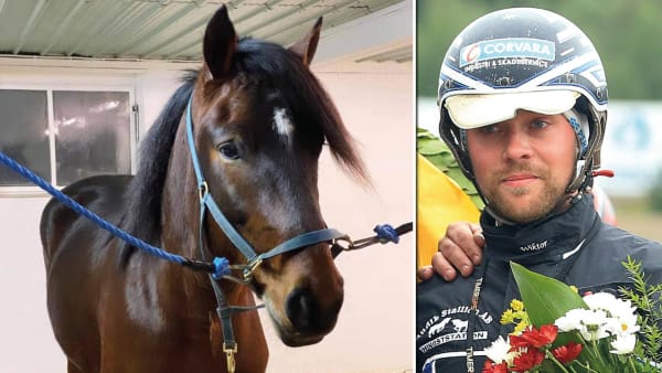 Foto: Privat & Girlpower/TR Bild