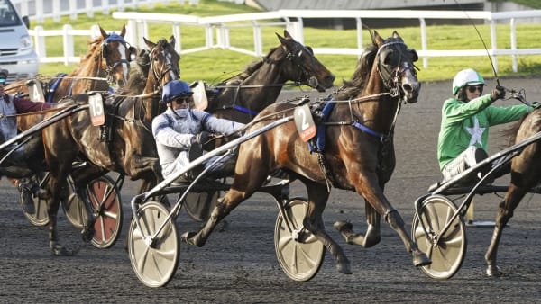 Foto: JEAN-LUC LAMAERE