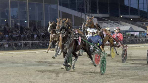 Foto: Lars Jakobsson/TR Bild