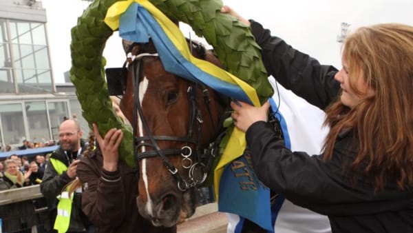 Foto: MARIA HOLMÉN/Travronden