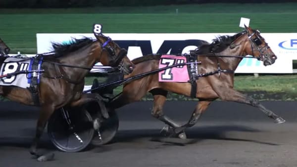 Foto: MICHAEL LISA/LISA PHOTO