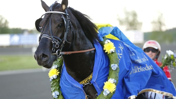 Foto: MARIA HOLMÉN / TR BILD