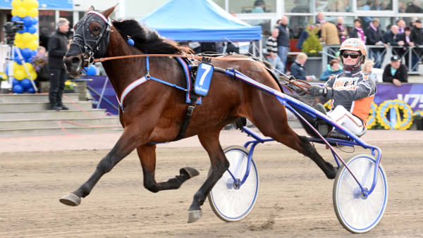 Foto: MALIN ALBINSSON/KANAL 75